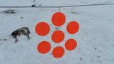 P'LINKS™ Clay Pigeon Links - Starter Pack (25)